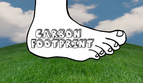Reduce Your Carbon Footprint Save Environment Reduce Reuse Recycle 3d Illustration