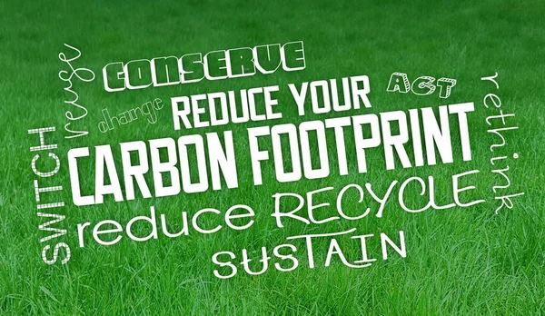 Carbon Footprint How to Reduce Save Planet Environment Protect Nature 3d Illustration