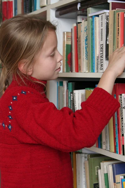 Läsa en bok — Stockfoto