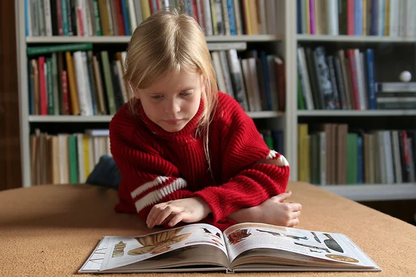 Het lezen van een boek — Stockfoto