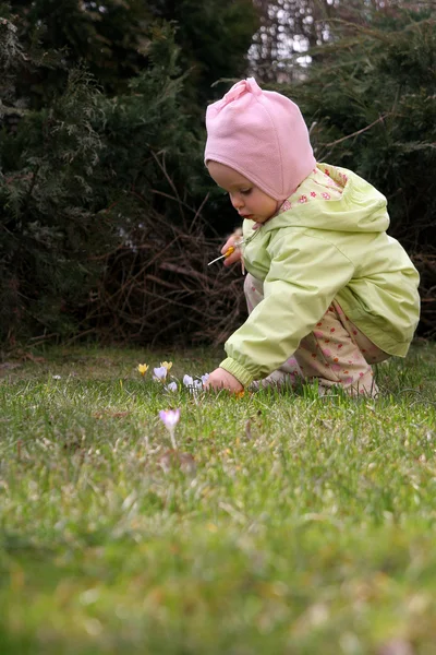 Bahar bebek — Stok fotoğraf