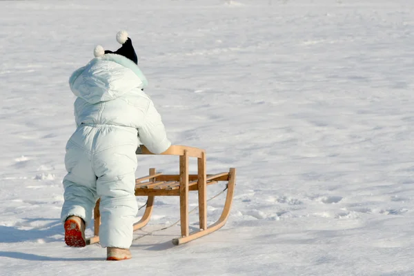 My sled — Stock Photo, Image