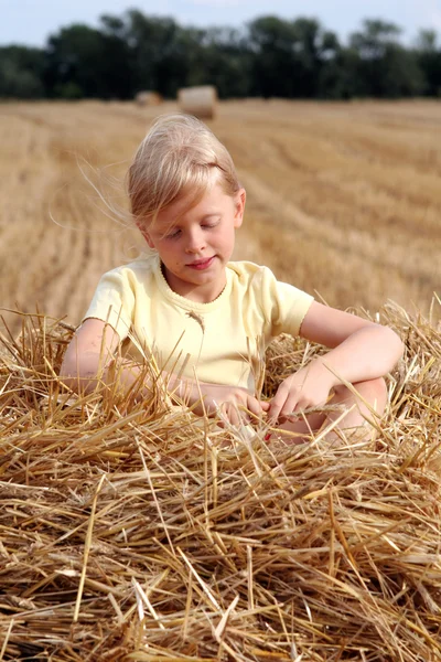 After harvest — Stock Photo, Image