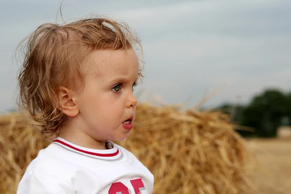 After harvest — Stock Photo, Image