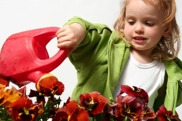 Pequeño jardinero — Foto de Stock