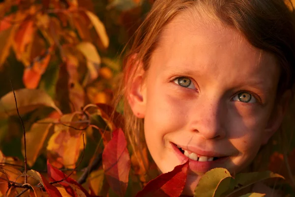 Jesienny portret — Zdjęcie stockowe