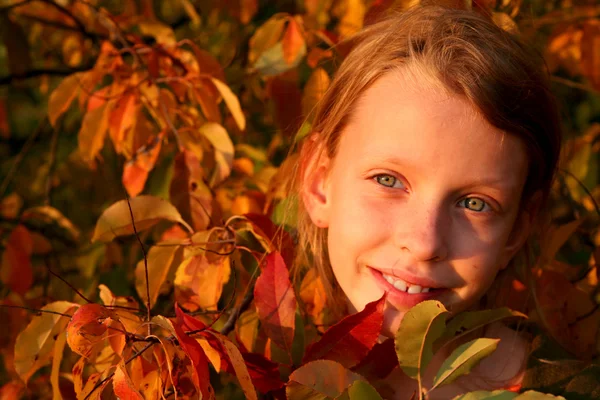 Herbstporträt — Stockfoto