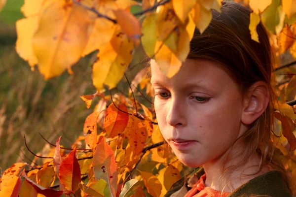 Herbstporträt — Stockfoto