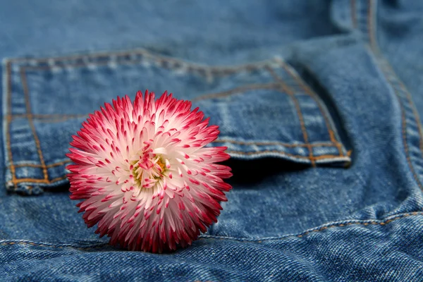 Moda de primavera — Fotografia de Stock