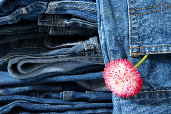 Moda de primavera — Foto de Stock