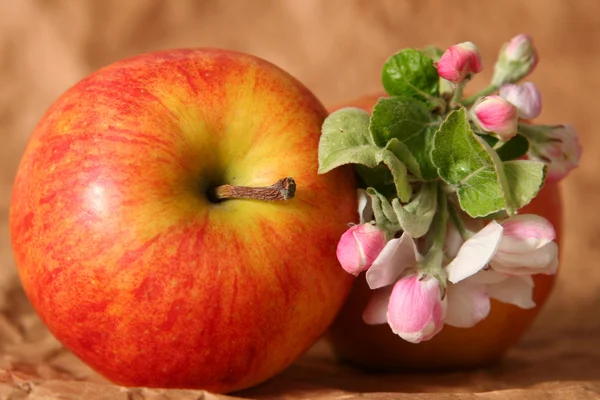 Apples and flowers — Stock Photo, Image