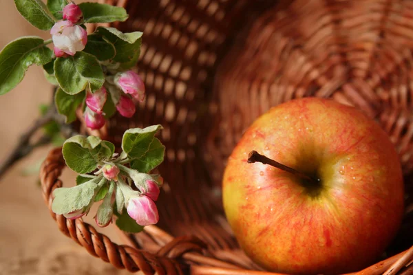 Apples and flowers — Stock Photo, Image