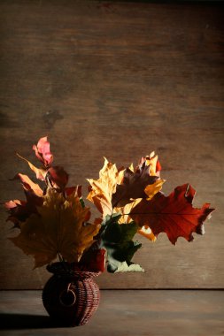 Autumnal still life
