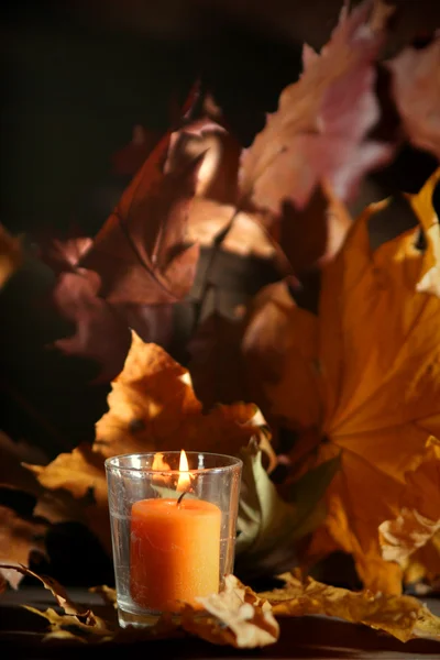 Podzimní zátiší — Stock fotografie
