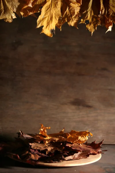 Autumnal still life — Stock Photo, Image