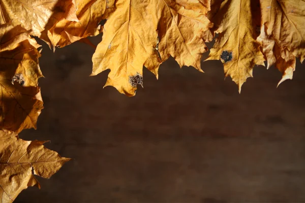 Autumnal still life — Stock Photo, Image