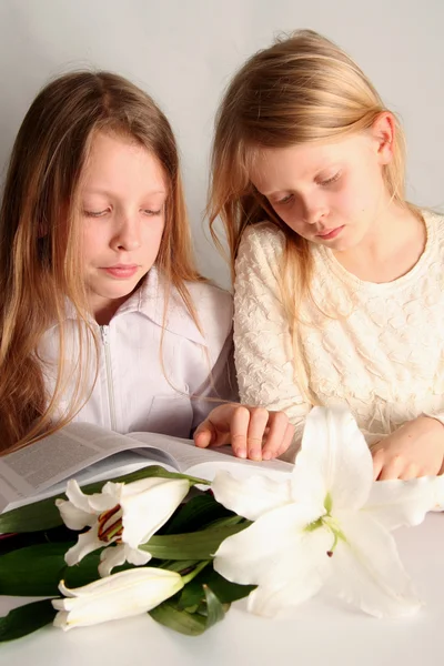 Prayer — Stock Photo, Image