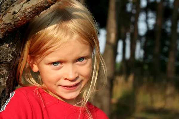 Nel foerst — Foto Stock