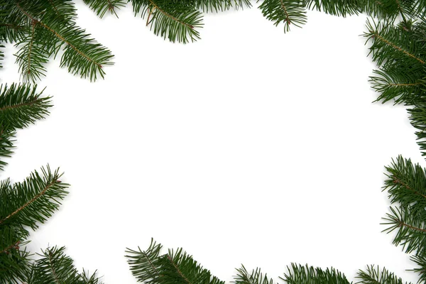 Christmas tree frame — Stock Photo, Image