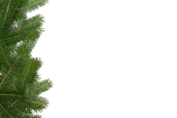 Marco del árbol de Navidad — Foto de Stock