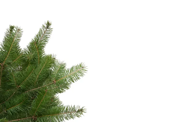 Cornice albero di Natale — Foto Stock