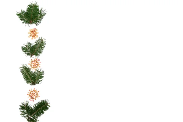 Christmas tree frame — Stock Photo, Image