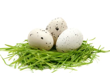 Paskalya yumurtaları