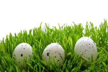 Paskalya yumurtaları