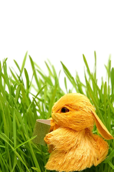 Conejo de Pascua en la hierba —  Fotos de Stock