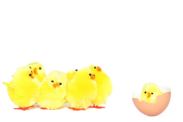 Easter chicken — Stock Photo, Image