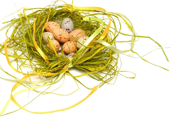 Easter floral arrangement — Stock Photo, Image