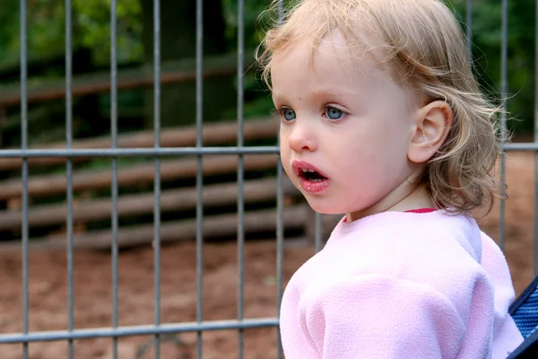 In the zoo — Stock Photo, Image