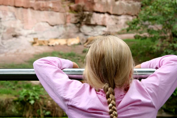 In the zoo — Stock Photo, Image