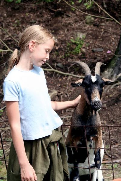 In the zoo — Stock Photo, Image