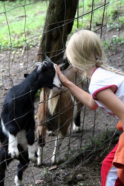 動物園で — ストック写真