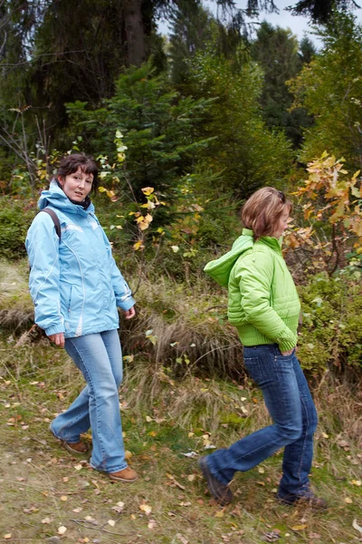 Autumnal walk — Stock Photo, Image