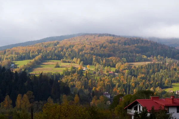 Autumn — Stock Photo, Image