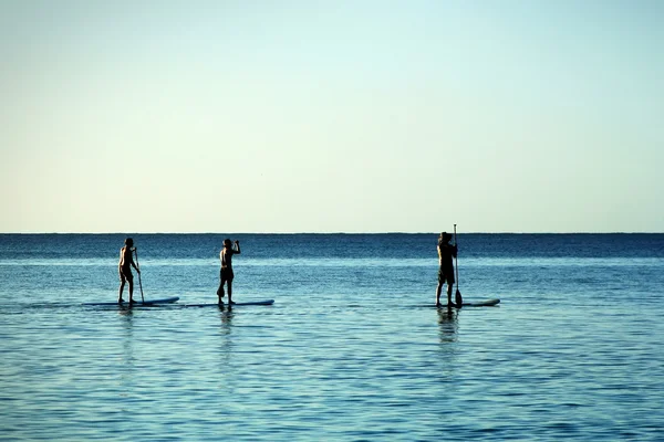 Paddle-Board —  Fotos de Stock