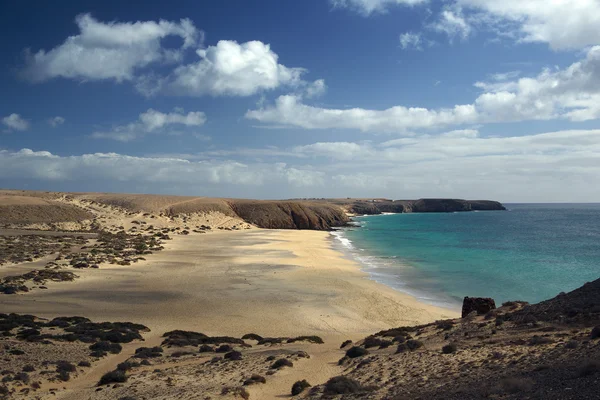 Panorama du littoral — Photo