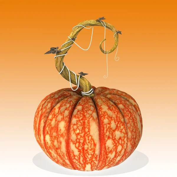 Balkabağı Cadılar Bayramı.