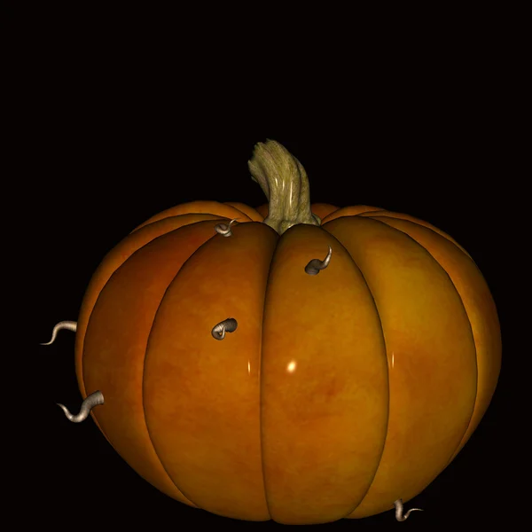 Pumpkin halloween eaten away by worms. — Stock Photo, Image