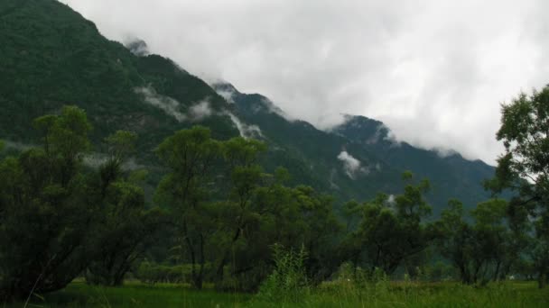 Mist en cloud op bergen, teletskoe lake, altai, Rusland — Stockvideo