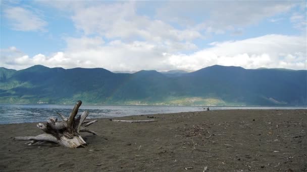 Teletskoe lake, altai, Rusland — Stockvideo