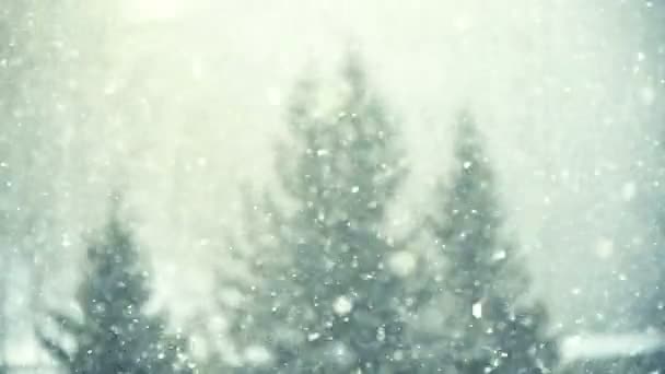 Sneeuw — Stockvideo