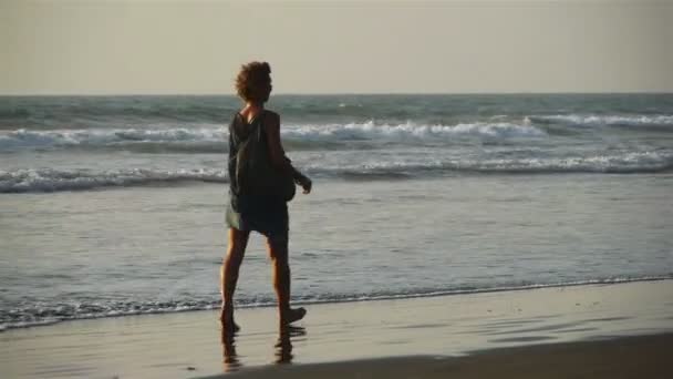 Mujer con un perro pasea en una playa — Vídeo de stock