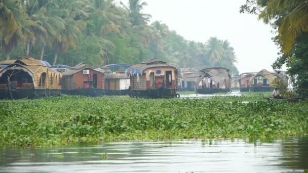 Houseboats — Stock video