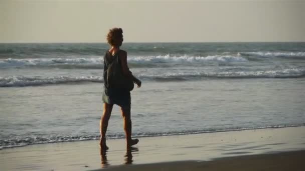 犬を持つ女性はビーチで散歩します。 — ストック動画