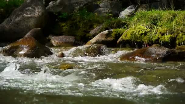 Río de montaña — Vídeo de stock