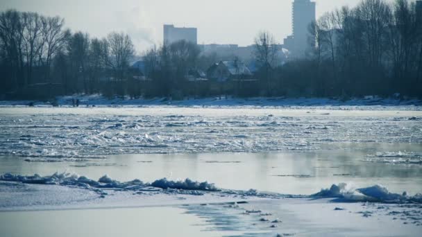 Flutuação de gelo em um rio — Vídeo de Stock