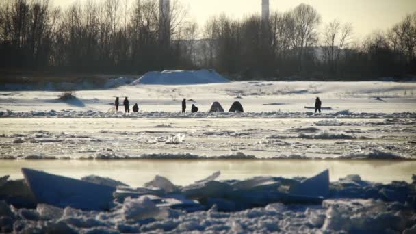 川の氷のフローティング — ストック動画